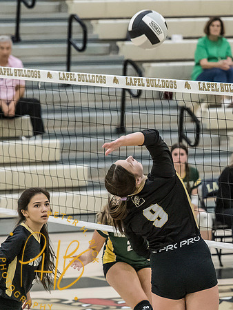 Lapel Volleyball 2026-1212-Edit
