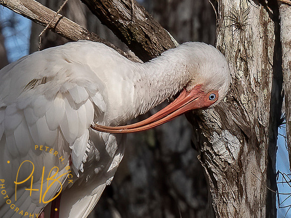 2022 Florida Trip 0168-Edit