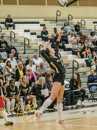 Lapel Volleyball 2026-1414-Edit
