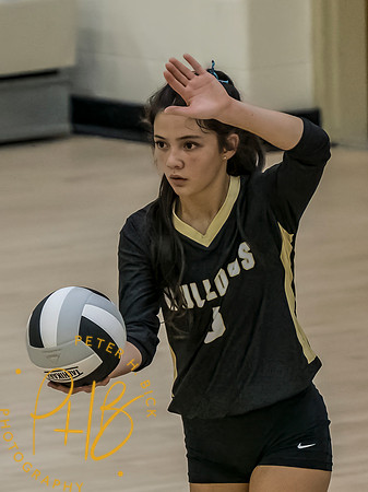 Lapel Volleyball 2026-1518-Edit