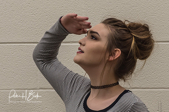 Lapel Yearbook 11-16-15 0205