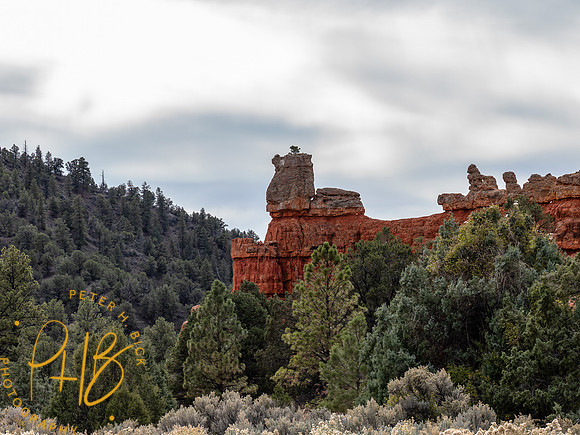2026 Sothwest Trip 0679-Edit