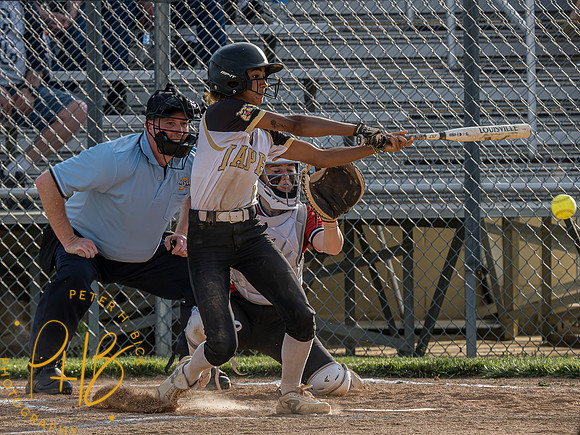 Lapel Softball 2023 1000-Enhanced-NR