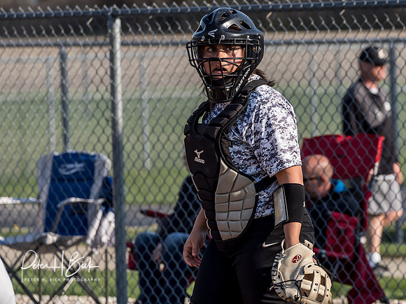 Lapel Softball 2019 0605