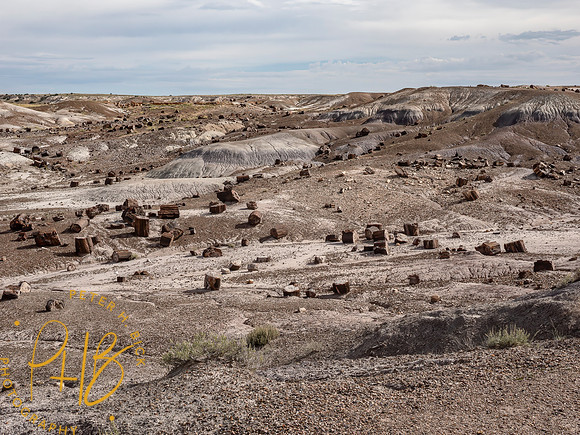 2026 Sothwest Trip 1485-Edit
