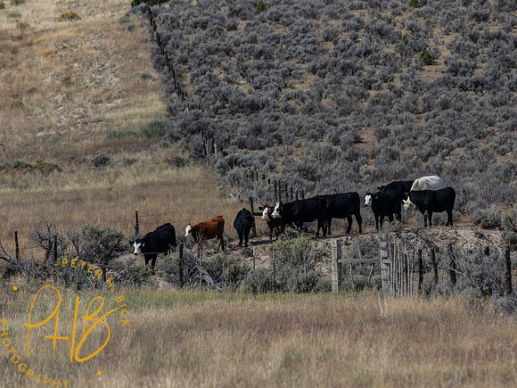 2026 Sothwest Trip 0597-Edit
