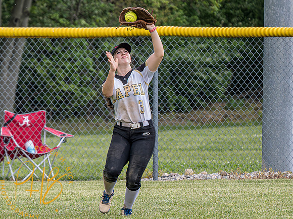 Lapel Softball 2023 1516-Enhanced-NR