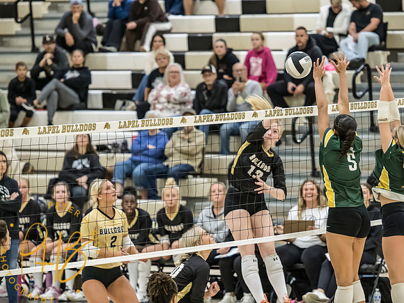 Lapel Volleyball 2026-1128-Edit