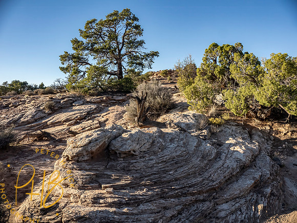 2026 Sothwest Trip 0313-Edit