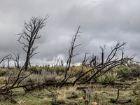 2026 Sothwest Trip 0090-Edit-Edit