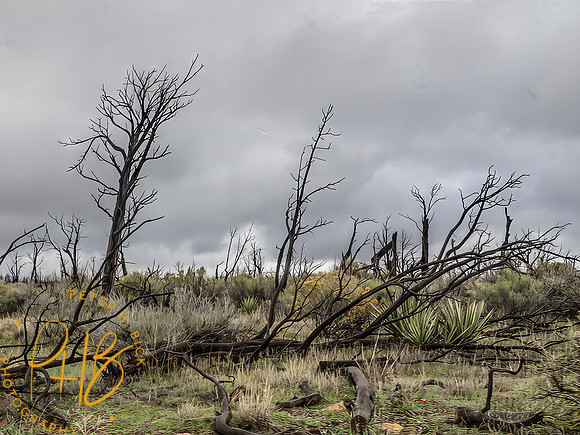 2026 Sothwest Trip 0090-Edit-Edit