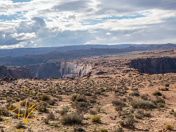 2026 Sothwest Trip 1222-Edit