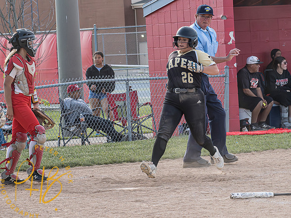 Lapel Softball 2023 2379-Enhanced-NR