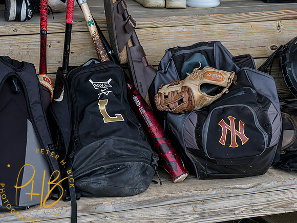Lapel Baseball 2023 1678-Enhanced-NR