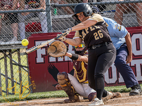 Lapel Softball 2023 1759-Enhanced-NR