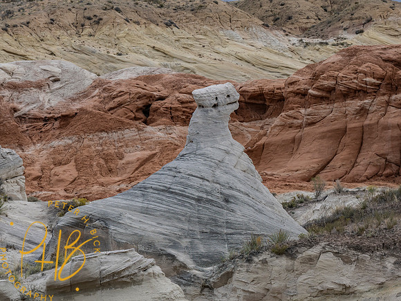 2026 Sothwest Trip 0766-Edit