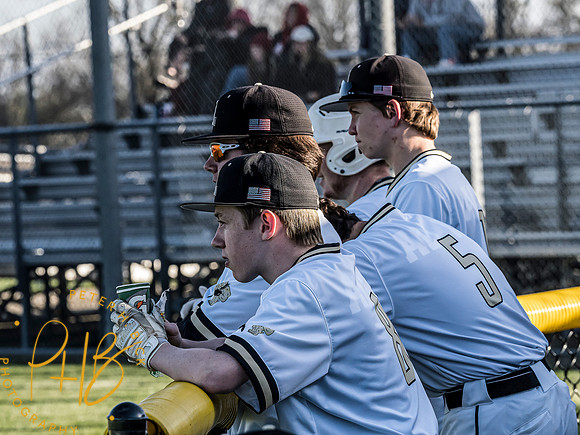 Lapel Baseball 2023 0955-Edit