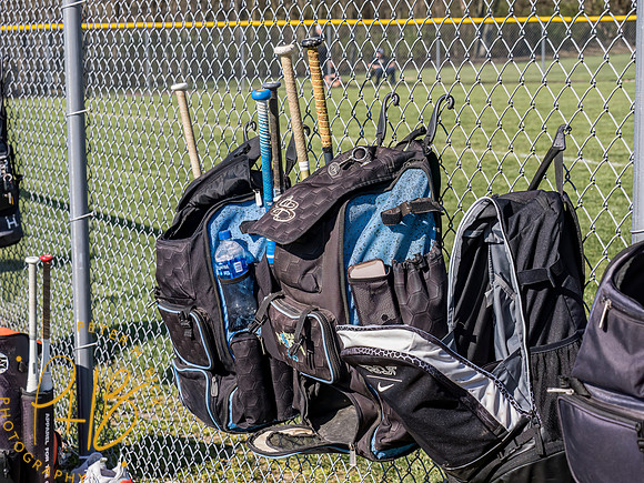 Lapel Softball 2023 0220-Edit