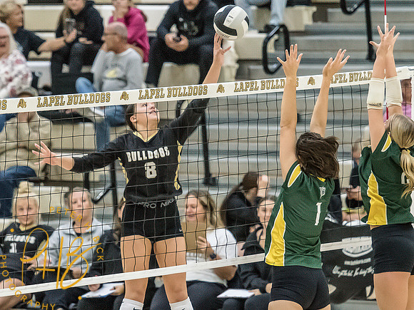 Lapel Volleyball 2026-1108-Edit