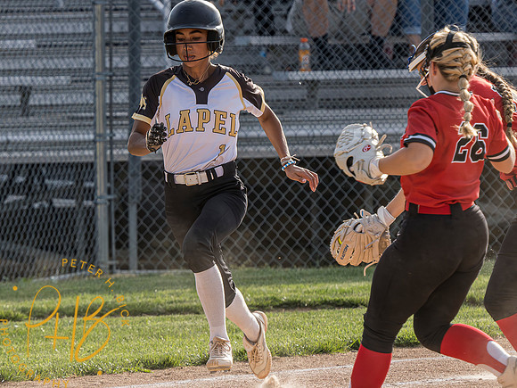 Lapel Softball 2023 0898-Enhanced-NR