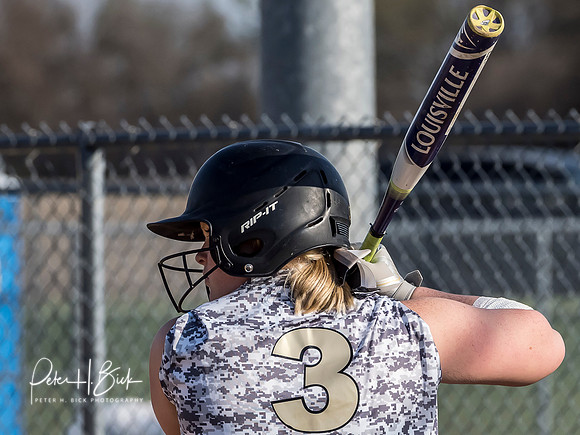 Lapel Softball 2019 0523