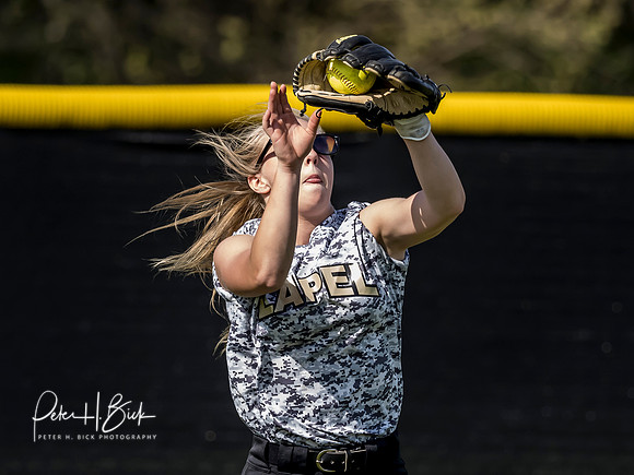 Lapel Softball 2019 1093