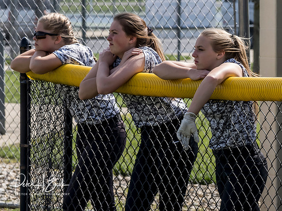 Lapel Softball 2019 0996