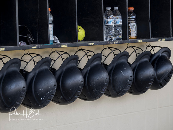 Lapel Softball 2019 0061