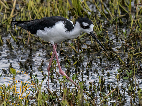 Florida 8-2023 0037-Edit