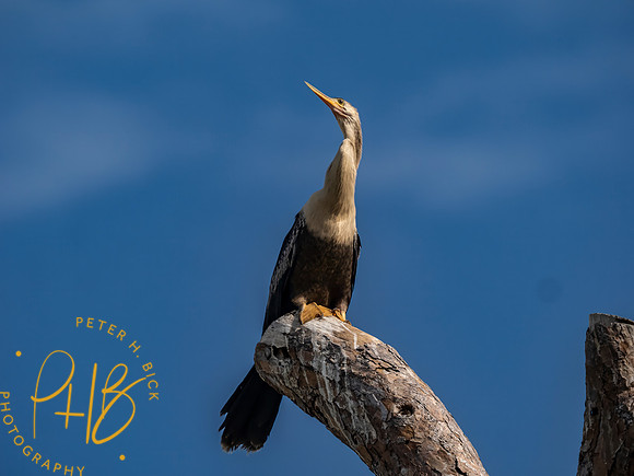 Florida 8-2023 0248-Edit