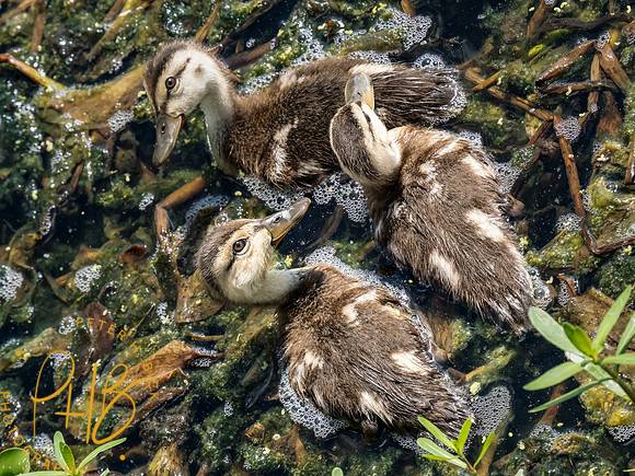Florida 8-2023 0402-Edit