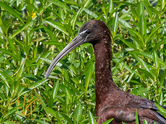 Florida 8-2023 0440-Edit