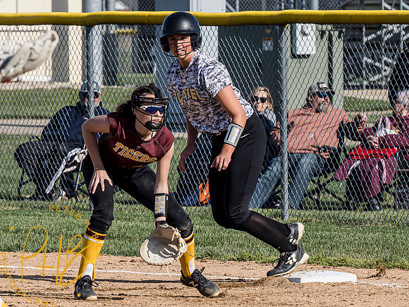 Lapel Softball 2021 0323-Edit