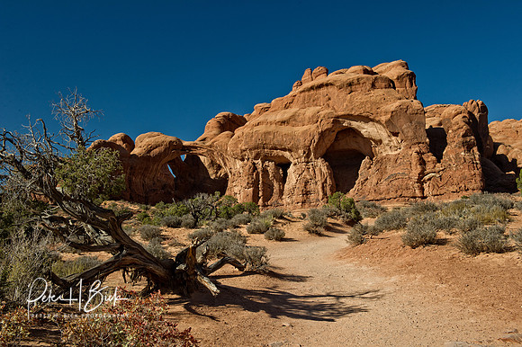 Arches NP 2011 0149