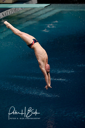 2008 Diving Trials 576