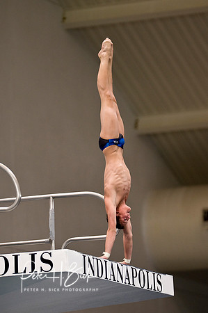2008 Diving Trials 1881