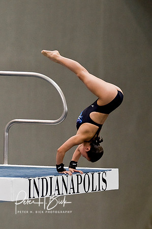 2008 Diving Trials 4238