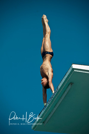 Diving Grand Prix 5-09 3263