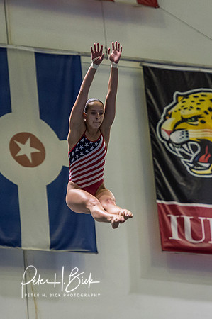 USA Diving 2015 0397