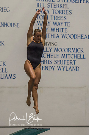 USA Diving 2015 0638