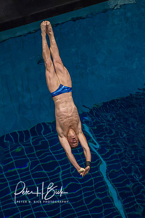 USA Diving 2015 1633