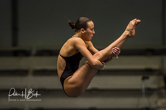 USA Diving 2015 1863