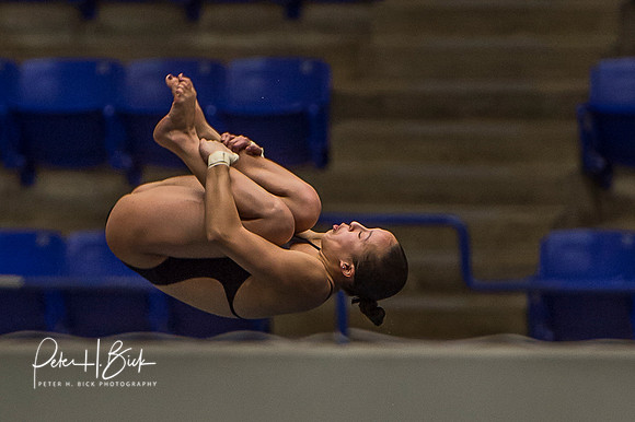 USA Diving 2015 2012