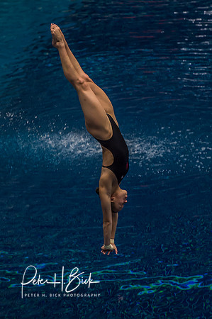 USA Diving 2015 2090