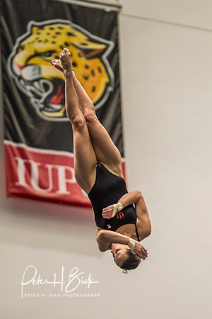 USA Diving 2015 2246