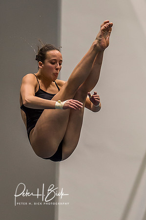 USA Diving 2015 2248