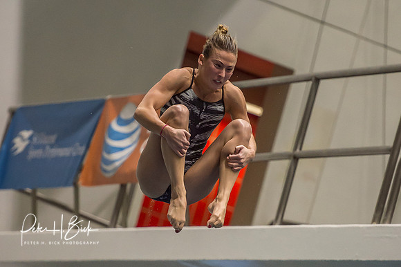 USA Diving 2015 3088