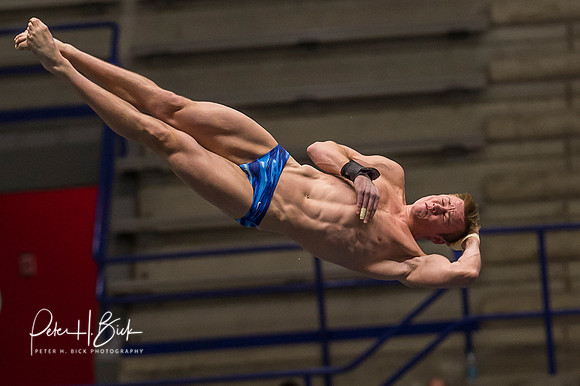 USA Diving 2015 3377