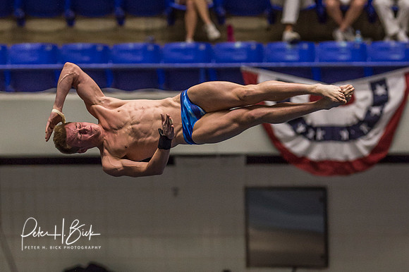 USA Diving 2015 3379