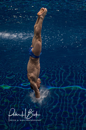 USA Diving 2015 3459